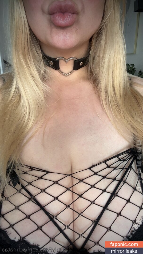 Schnataa, https: Çıplak Sızıntılar OnlyFans Fotoğraf #4